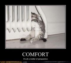 demotivational_129083330935074165.jpg