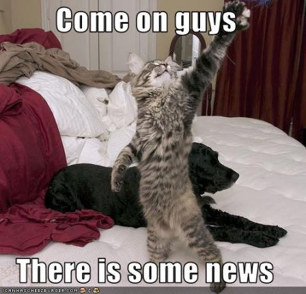 lolcat_comeonguysthereissomenews
