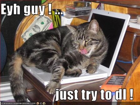 lolcat_eyhguyjusttrytodl