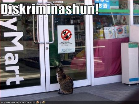 lolcat_funny-pictures-cat-is-discriminated-against