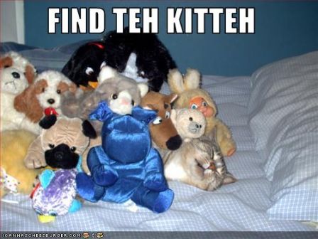 lolcat_funny-pictures-cat-is-hiding.jpg