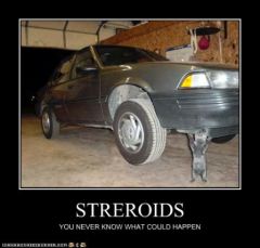 lolcat_funny-pictures-cat-is-on-steroids.jpg