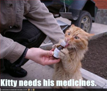 lolcat_funny-pictures-cat-needs-his-medicine2.jpg
