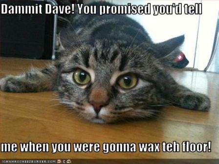 lolcat_funny-pictures-cat-slips-on-floor.jpg