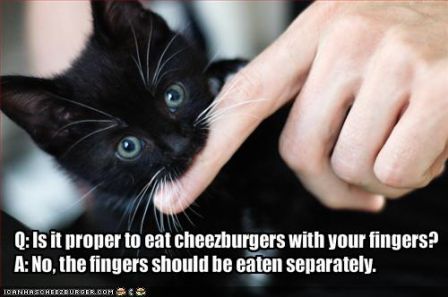 lolcat_funny-pictures-kitten-eats-fingers