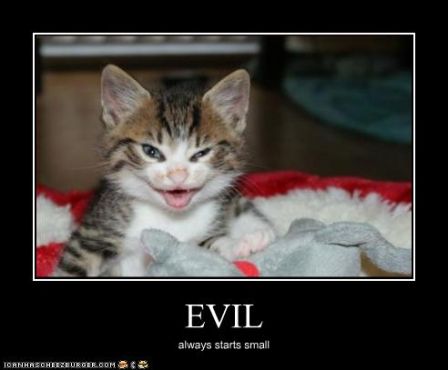 lolcat_funny-pictures-kitten-is-evil