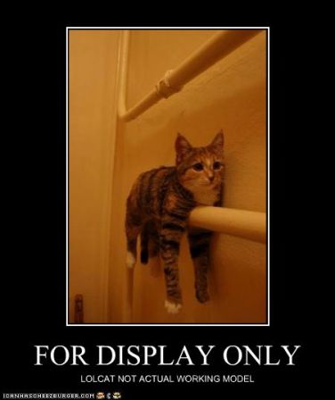 lolcat_funny-pictures-this-lolcat-is-for-display-only
