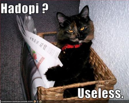lolcat_hadopi_useless