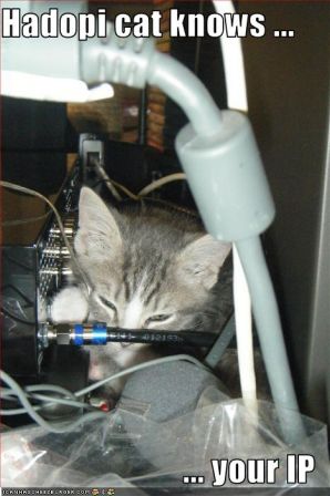 lolcat_hadopicatknowsyourip