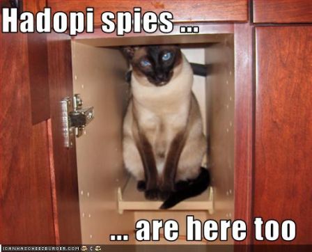 lolcat_hadopispiesareheretoo