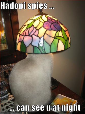 lolcat_hadopispiescanseeyouatnight