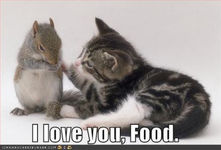 lolcat_iloveyoufood