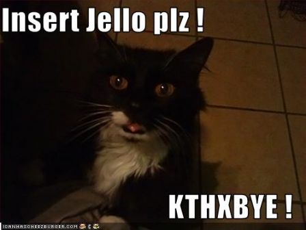 lolcat_insertjelloplzkthxbye