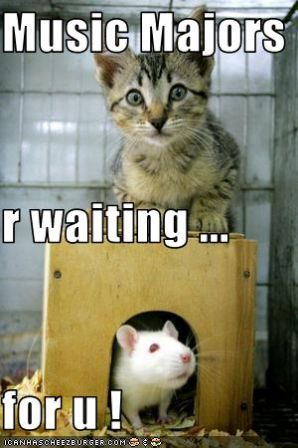 lolcat_musicmajorswaitingforu