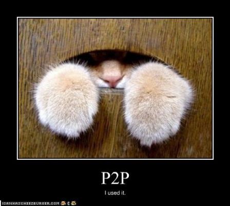 lolcat_p2piusedit