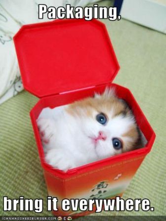 lolcat_packagingbringiteverywhere