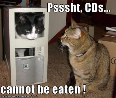 lolcat_pssshtcdscannotbeeaten