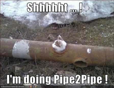 lolcat_shhhhhtimdoingpipe2pipe