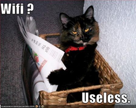 lolcat_wifiuseless