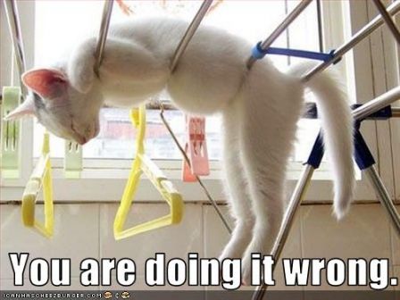 lolcat_youaredoingitwrong
