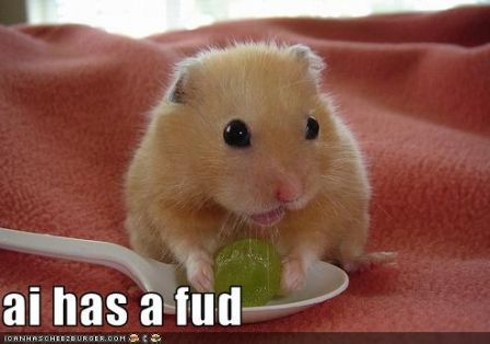 lolhamster_aihasafud