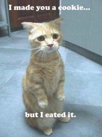 mt998786082 i made you a cookie but i eaten it