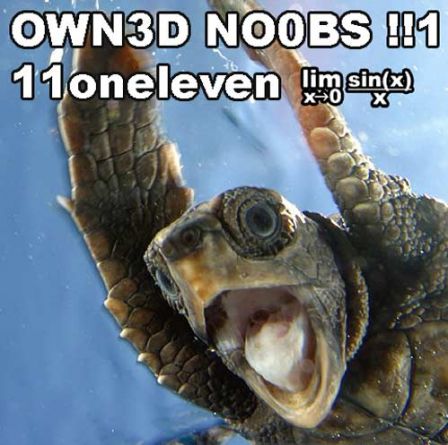 omg_tortue