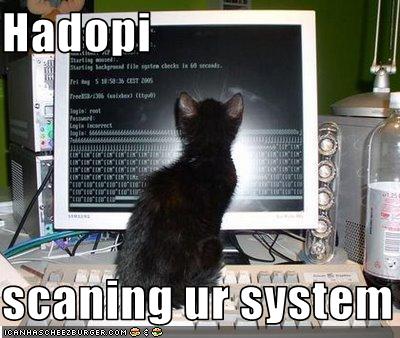 lolcat_hadopiscanningursystem