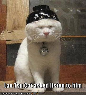 lolcat_laotsucataskedlistentohim