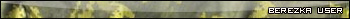 berezka.jpg