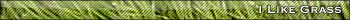 grass.jpg