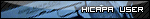 hicapa1501yj.gif