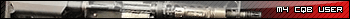 m4cqbuser2wa.gif