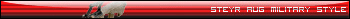 steyraugmilitaryweb0yf.gif