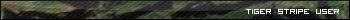 tigerstripe.jpg