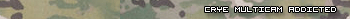 userbarmulticamgif8ui.gif